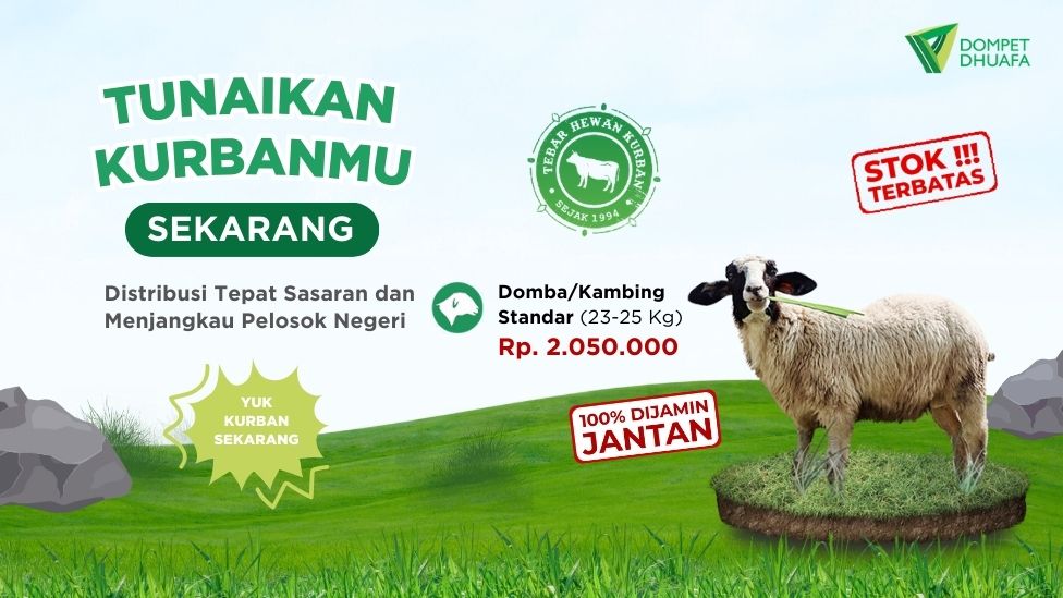 Kambing/Domba Standar (23- 25 Kg)