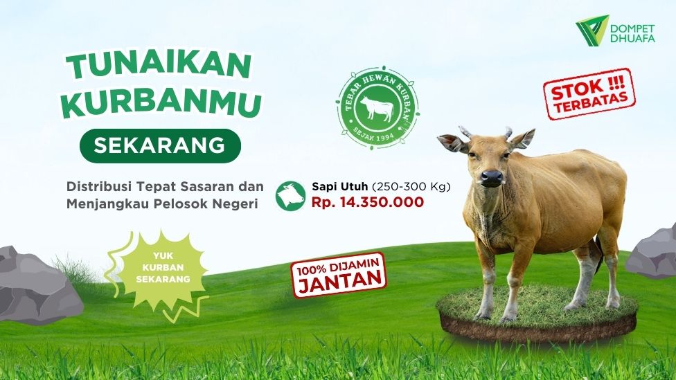 Sapi Utuh