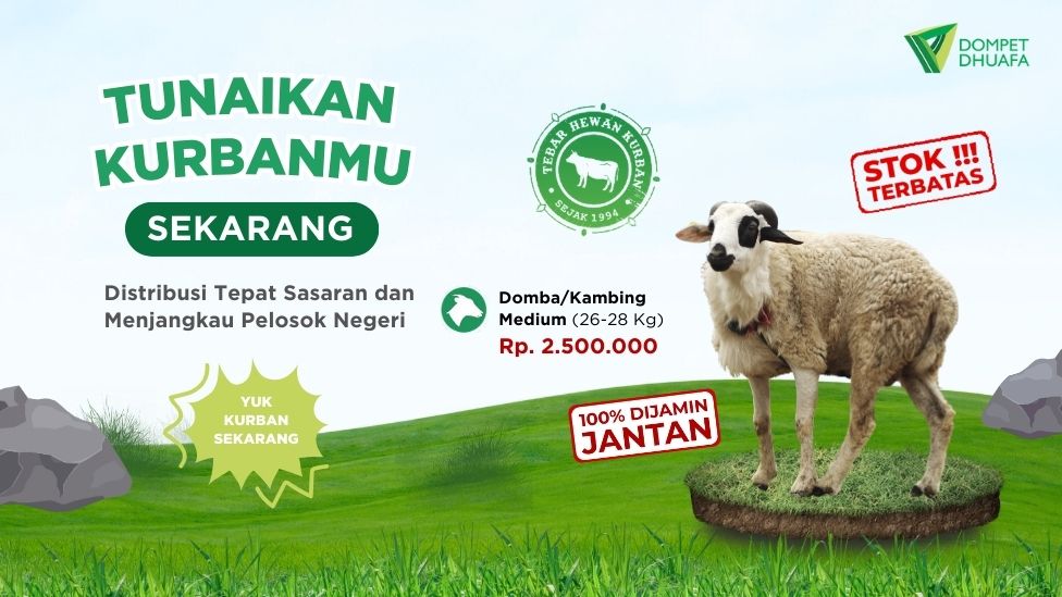 Kambing/Domba Medium (26- 28 Kg)