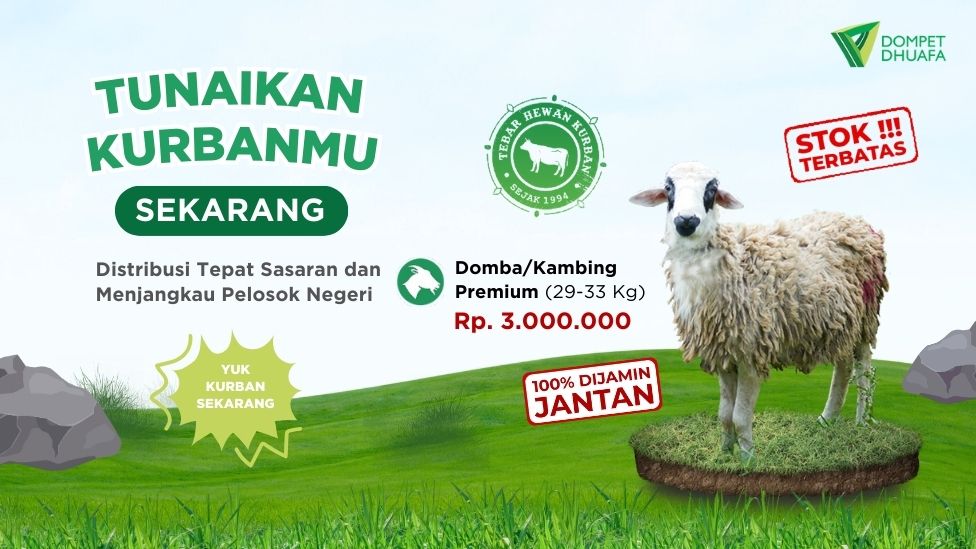 Kambing/Domba Premium (29- 33 Kg)